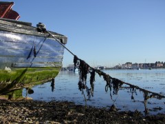 Eastney Marina