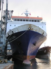 Aegean Glory Bow in Piraeus 02-02-10.JPG