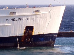 penelopea_310705_rafina_bow