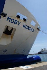 Moby Wonder - bow