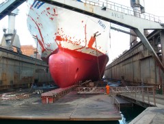 Polaris Drydock 2007