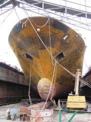 Clelia II Bow