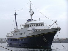 Giorgis