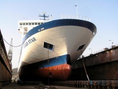 Ionian Star Bow