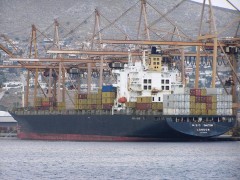 MSC Dalton