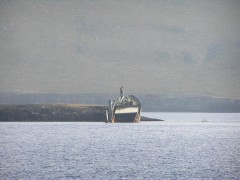 Nordland Shipwreck off Kythera