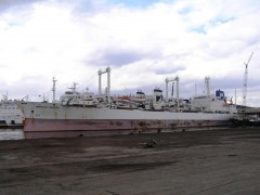 Qingdao Reefer