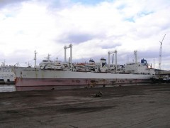 Qingdao Reefer