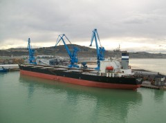 Newcastle Max
