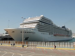 MSC POESIA