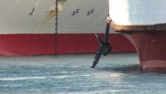 Vitsentzos Kornaros's stbd anchor in a tangle with Olympic Champion's port anchor chain b