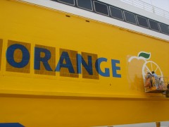 Orange 11