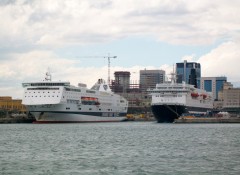 Excellent & Snav Toscana