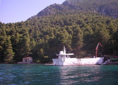Dimitris P @ Kalamos island