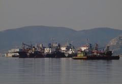 Elefsis Bay