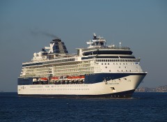 Celebrity Constellation