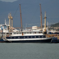 Viking Star @ Salamina