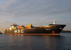 MSC Lea