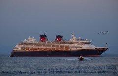 Disney Magic