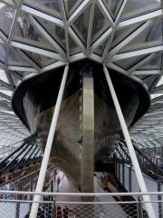 cutty sark@ greenwich london 16062015 b
