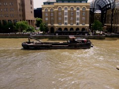 tidy thames II @thames june 2015