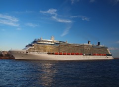 Celebrity Reflection