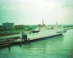 Rosebay in Rotterdam