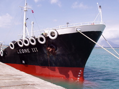 leone III 250304