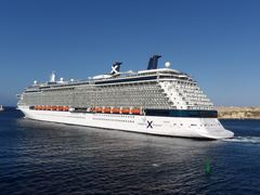 Celebrity Reflection