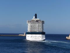 Celebrity Reflection