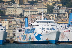 Moby Baby_09-04-17_Genova.jpg