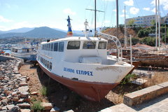Delfini Express