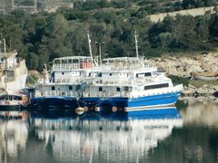 Hydra Cat_Spetses Cat