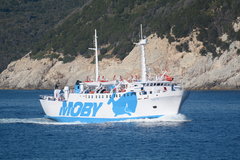 Bastia_21-06-17_off Portoferraio.JPG