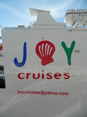 Joy Star Logo
