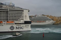 Carnival Horizon & MSC Meraviglia