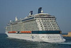 Celebrity Reflection