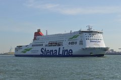 stena hollandica