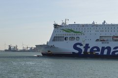 stena brittanica