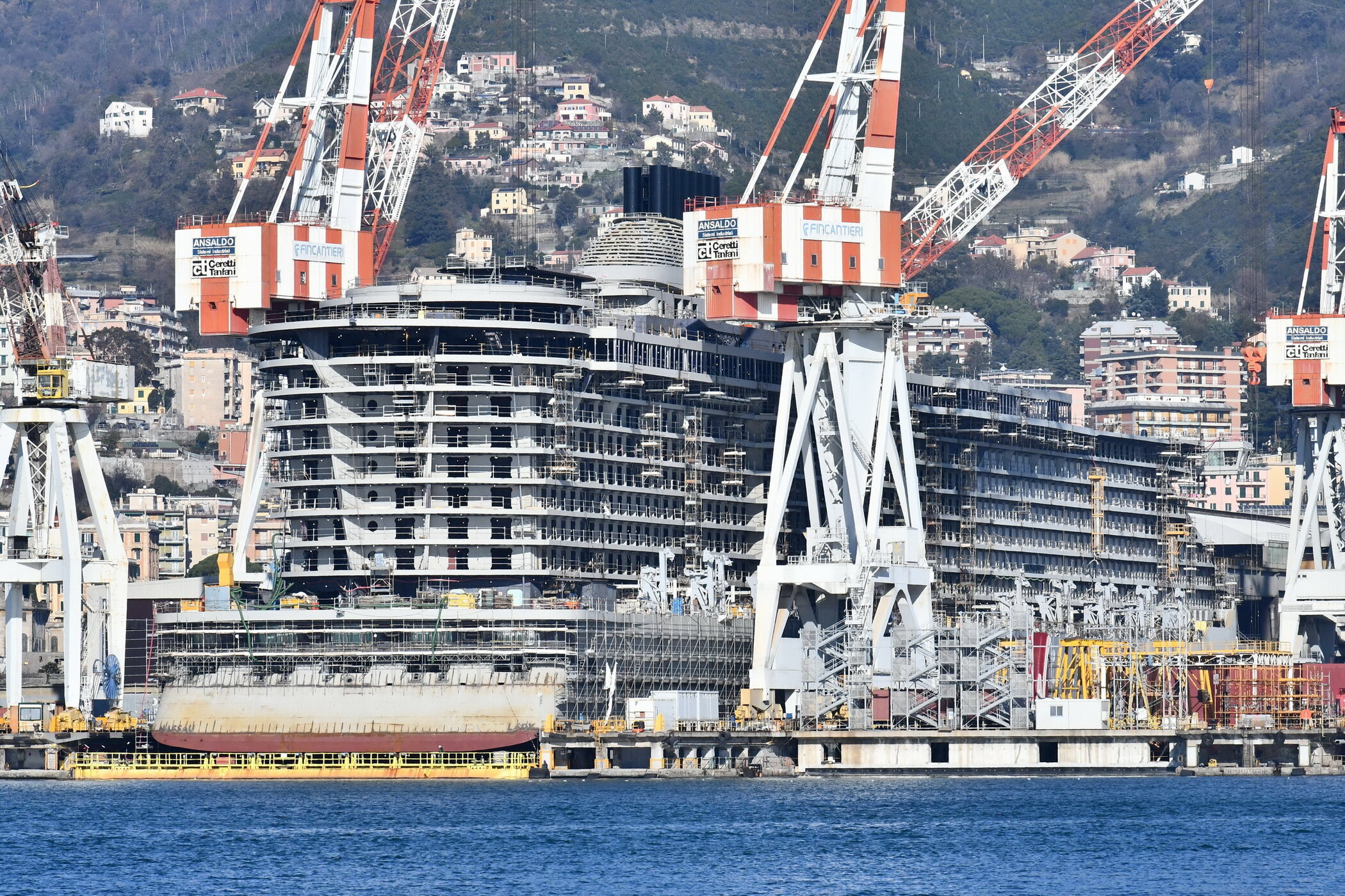 Scarlet Lady_15-12-18_Genova