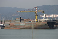 Forza newbuilding of Grimaldi Holding