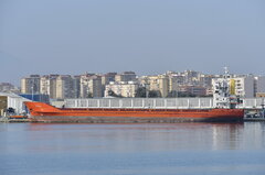 Eider_24-02-19_Malaga