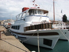 Ionian Dolphin