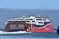 Fjord Cat_28-06-19_Hirtshals_9