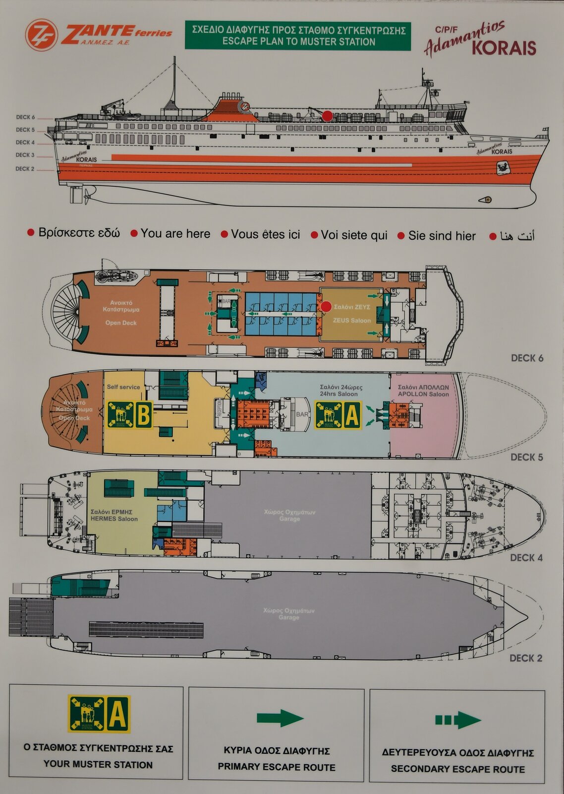 cruise ship evacuation israel
