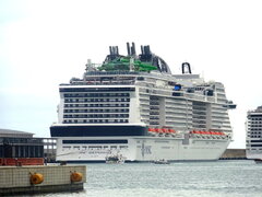 MSC GRANDIOSA.jpg