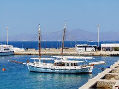 Dolphin of Delos