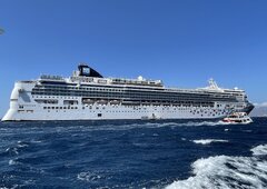 Norwegian Gem