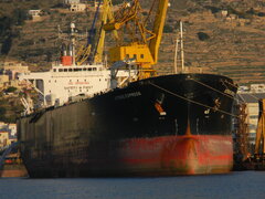 CITRUS EXPRESS (Syros 18-11-2015)