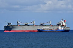 Forestal Gaia_24-06-23_Las Palmas de Gran Canaria anchorage